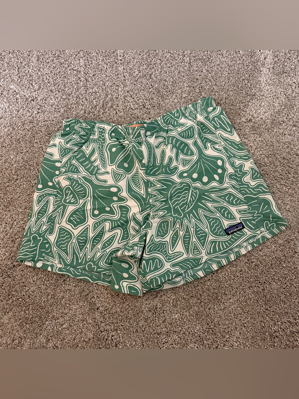 Patagonia Baggies